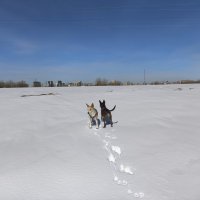 Туда-сюда :: Anna Ivanova