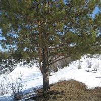 На острове :: Anna Ivanova