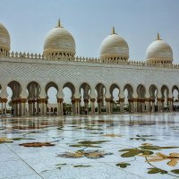 UAE 47 :: Arturs Ancans