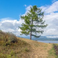На берегу озера Тургояк (панорама). :: Алексей Трухин