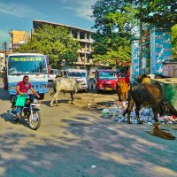 Стрит-фото :: Андрей K.