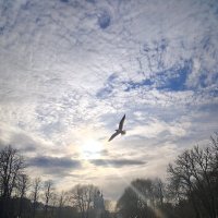 Момент :: Андрей 