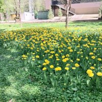 АЛМАТЫ. :: Murat Bukaev