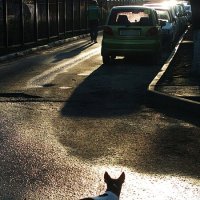 И куда же ты? :: Николай Семёнов