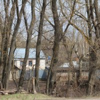 Провинциальные зарисовки :: Елена Минина