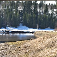 р.Добрянка. :: petyxov петухов