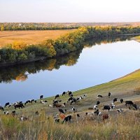 Река Омь :: Владимир Зыбин