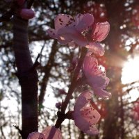 с добрым утром ! :: Всеволод 