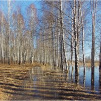 Апрель :: Валентин Котляров