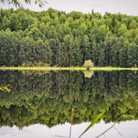 У реки :: Александр 