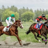 Скачки :: SanSan 