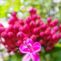 Первый. :: Марина Леонидовна Первый. :: Марина Леонидовна