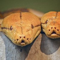 Мы с марусей на печи :: Андроник Александр 