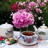 Нежное утро! :: Нина Андронова