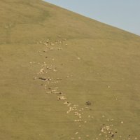 Тропа :: Vitrevi 