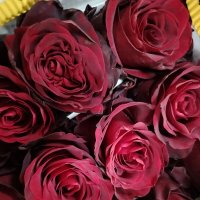 Самые красивые :: Надежда Самые красивые :: Надежда