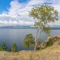 На берегу озера Тургояк (панорама). :: Алексей Трухин