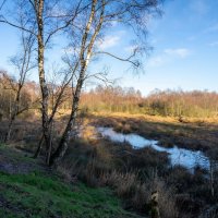 На краю... :: Николай Гирш