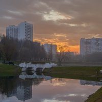 Собачье время. :: Николай 