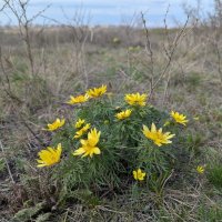 Весна в степи :: Андрей Хлопонин
