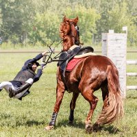 Конкур :: SanSan 