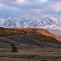 В лучах заходящего солнца :: Марина Фомина.