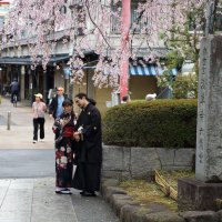 Токио, street photo и немного сакуры. :: Liliya 