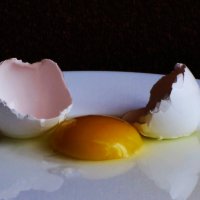 Разбитое яйцо... :: Татьяна Гнездилова