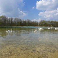 Улыбчивый апрель, держись, Лети легко под облаками... :: Галина 