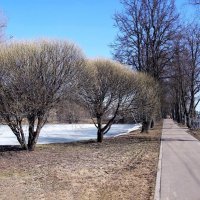 Когда был снег... :: ZNatasha -