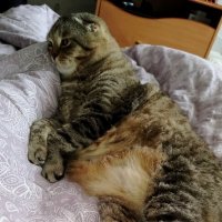 Мне этот мир абсолютно понятен :: светлана льдокова