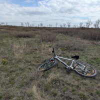 Степные красоты :: Андрей Хлопонин