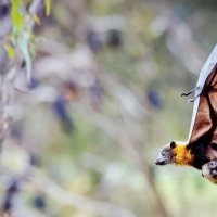 Домой  ! :: Валерий Кокорев