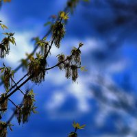 Небо :: Юрий Гайворонскiий