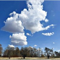 Облака весенние. :: Валерия Комова