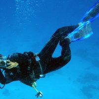 Подводная фотодуэль :: Сергей Сомихин