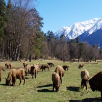 Долина ... :: Андрей Любимов
