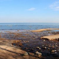 Ладожское Озеро. Март :: Наталья Герасимова