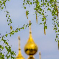 Весенние зарисовки ... :: Ravile 