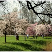 *** :: Aleksandr Gal