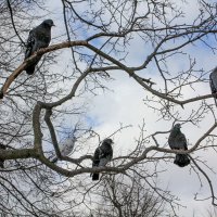 Посиделки :: Олег 