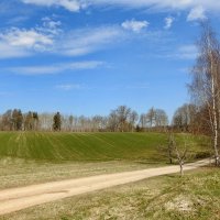 весенние зарисовки :: ИННА ПОРОХОВА