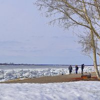 Картинки с набережной Томи во время ледохода :: Галина Кан