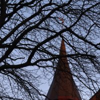 Башня Кафедрального собора. :: Константин Белоногов