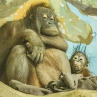 Мишель и Бушель :: Аркадий Лаптенко