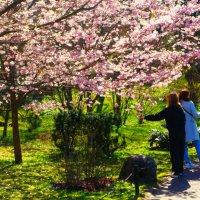 Наслаждение красотой.. :: Aida10 