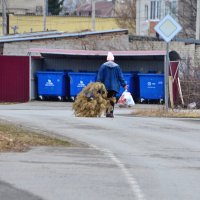Уже пора выбрасывать ёлку? 18.04.2026. :: Михаил К