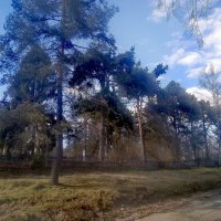 весенний день :: Сергей Кочнев