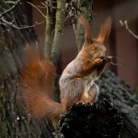 Чтобы это значило? :: Aleksandr .