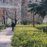 Первая листва :: Татьяна Машошина